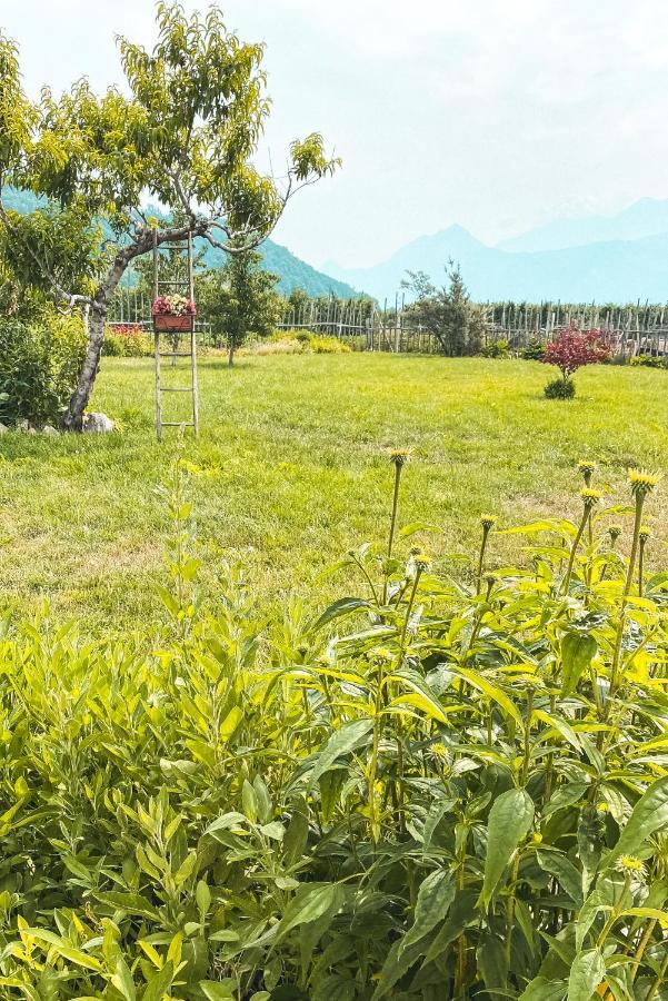 Agriturismo Dal Perotin Caldonazzo Ngoại thất bức ảnh
